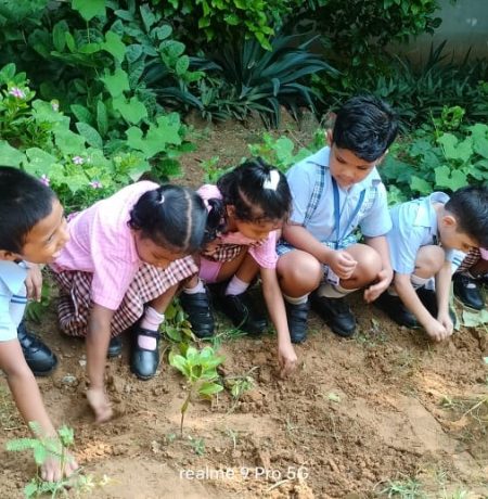 454442365_1016109963859591_2880662621591691194_n